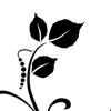 illustration-portfolio-FLOWERS.jpg